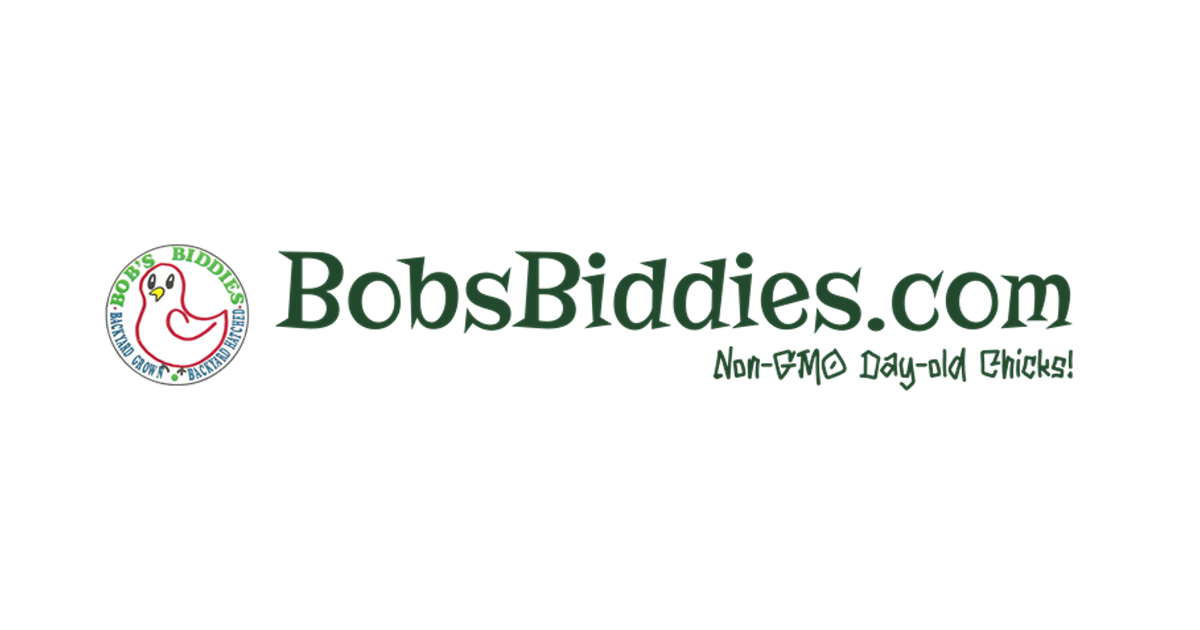 Bobs Biddies Logo Portfolio Image