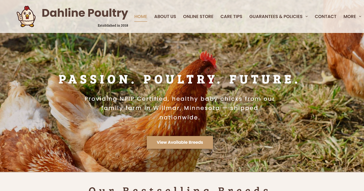Dahline Poultry Portfolio Image