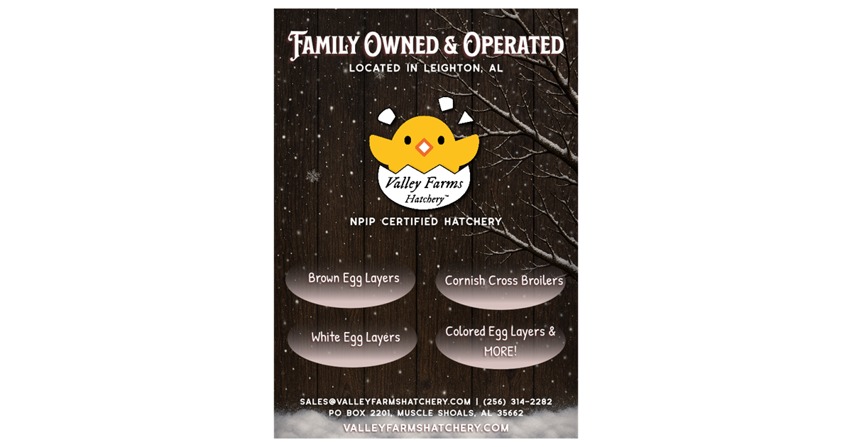 Valley Farms Hatchey Magazine Ad Portfolio Image