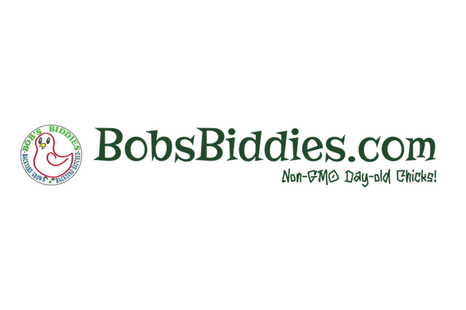 Bobs Biddies Logo Portfolio THUMB