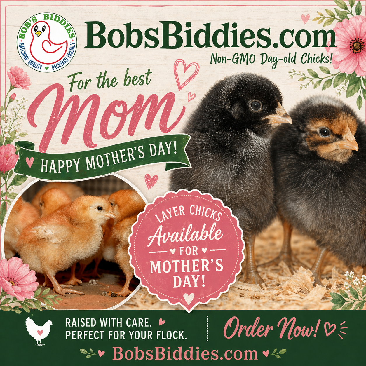 Bob's Biddies Mother's Day Layers Popup